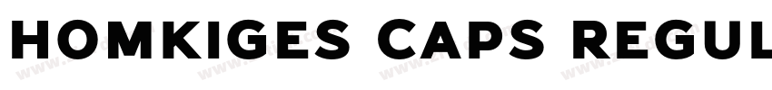 Homkiges Caps Regula字体转换